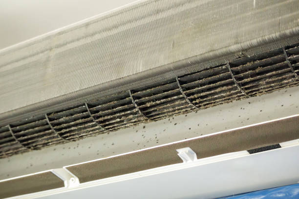 Best Best Air Duct Cleaning Company  in Dixon, CA