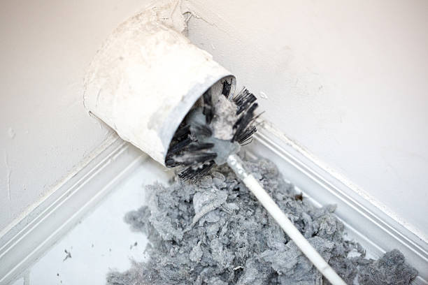 Best Residential Air Duct Cleaning  in Dixon, CA